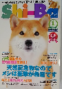 shi-ba 2011.1