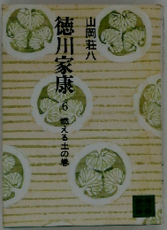 徳川家康　6 燃える士の集