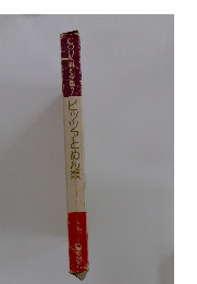 COOK料理全集7 ピッツァとめん類