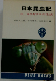 日本昆虫記 キリギリスの生活
