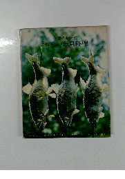 今晩のおかず おいしい魚貝料理