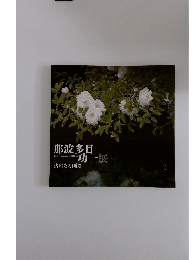 那波多目功一展