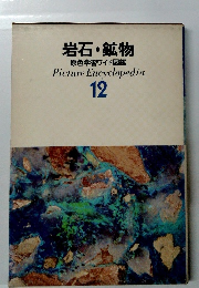 岩石・鉱物 原色学習ワイド図鑑　12