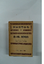 世界文學全集　15　息子と戀人 戀愛對位法