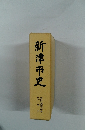 新津市史