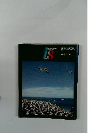 季刊誌 is vol. 13 1981年6月