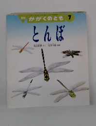 月刊 かがくのとも 7 とんぼ