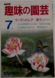 NHK趣味の園芸 　7　ブーゲンビレア 洋ラン