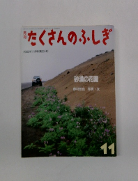 たくさんのふしぎ　2003年11月号