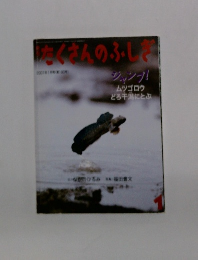 たくさんのふしぎ　1