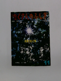 たくさんのふしぎ　2000　11