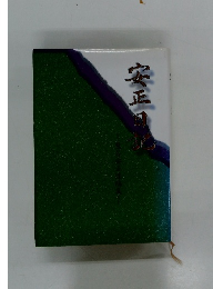 安正日記