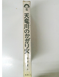 天竜川のかがり火