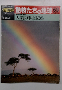 朝日百科 動物たちの地球 59　大気の中に生きる