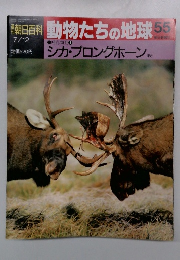朝日百科動物たちの地球55