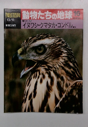 朝日百科動物たちの地球16