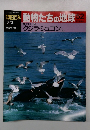 朝日百科 動物たちの地球 52