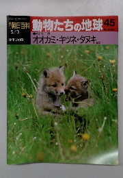 朝日百科動物たちの地球45　5/3　オオカミ・キツネタヌキか