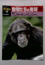 朝日百科動物たちの地球　44