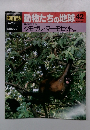 朝日百科　4/12 動物たちの地球　42　クモザル・マーモセット
