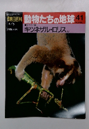 朝日百科 動物たちの地球 41　キツネザル　ロリス ほか