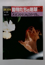 朝日百科　動物たちの地球　40
