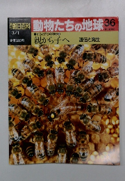 朝日百科動物たちの地球36　3/1　からだ作りの神秘③