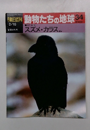 朝日百科　動物たちの地球　34