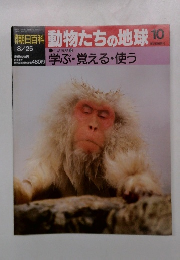 朝日百科 動物たちの地球 10