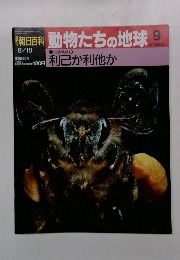 朝日百科 動物たちの地球 9　生活戦略9　利己利他か
