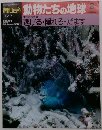 朝日百科動物たちの地球3　7/7