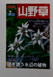 山野草　2004年7月