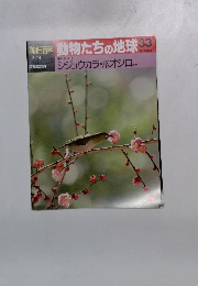 朝日百科 動物たちの地球 33　シジュウカラ・ホオジロ