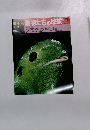 NHK朝日百科 動物たちの地球 30