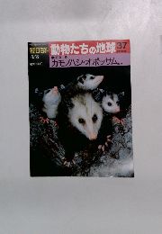 朝日百科動物たちの地球37