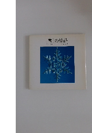 雪の結晶