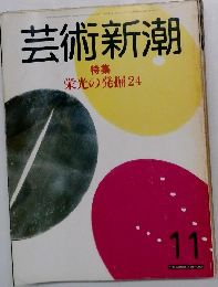 芸術新潮 11 特集栄光の発掘 24