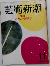 芸術新潮 11 特集栄光の発掘 24