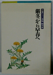 厳冬から早春へ 加藤ひろし評論・随想集