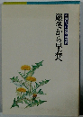厳冬から早春へ 加藤ひろし評論・随想集