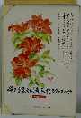 野富弘詩画集絵はがき1