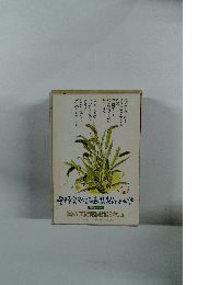 野富弘詩画集絵はがき 第2巻