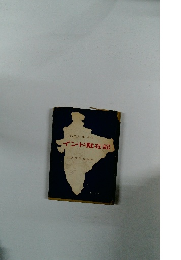 インド駐在記