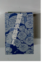 鴨川ホルモー、ワンスモア