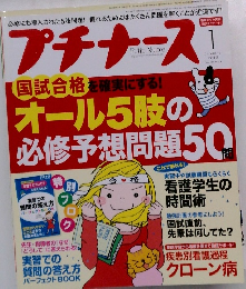 プチナース　2012　1