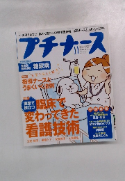 プチナース　2008　11