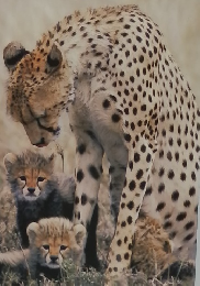 OUTWARD AUTUMN 2019年秋号　No. 84