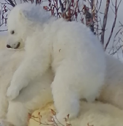 OUTWARD　2016年冬号 No.73