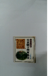 将棋振り飛車戦法