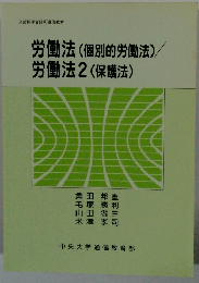 労働法 (個別的労働法)/労働法2 (保護法)